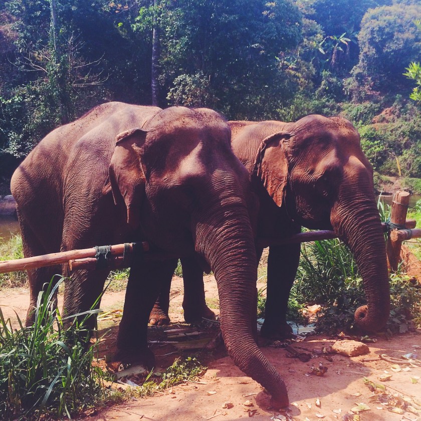 Processed with VSCOcam with f2 preset