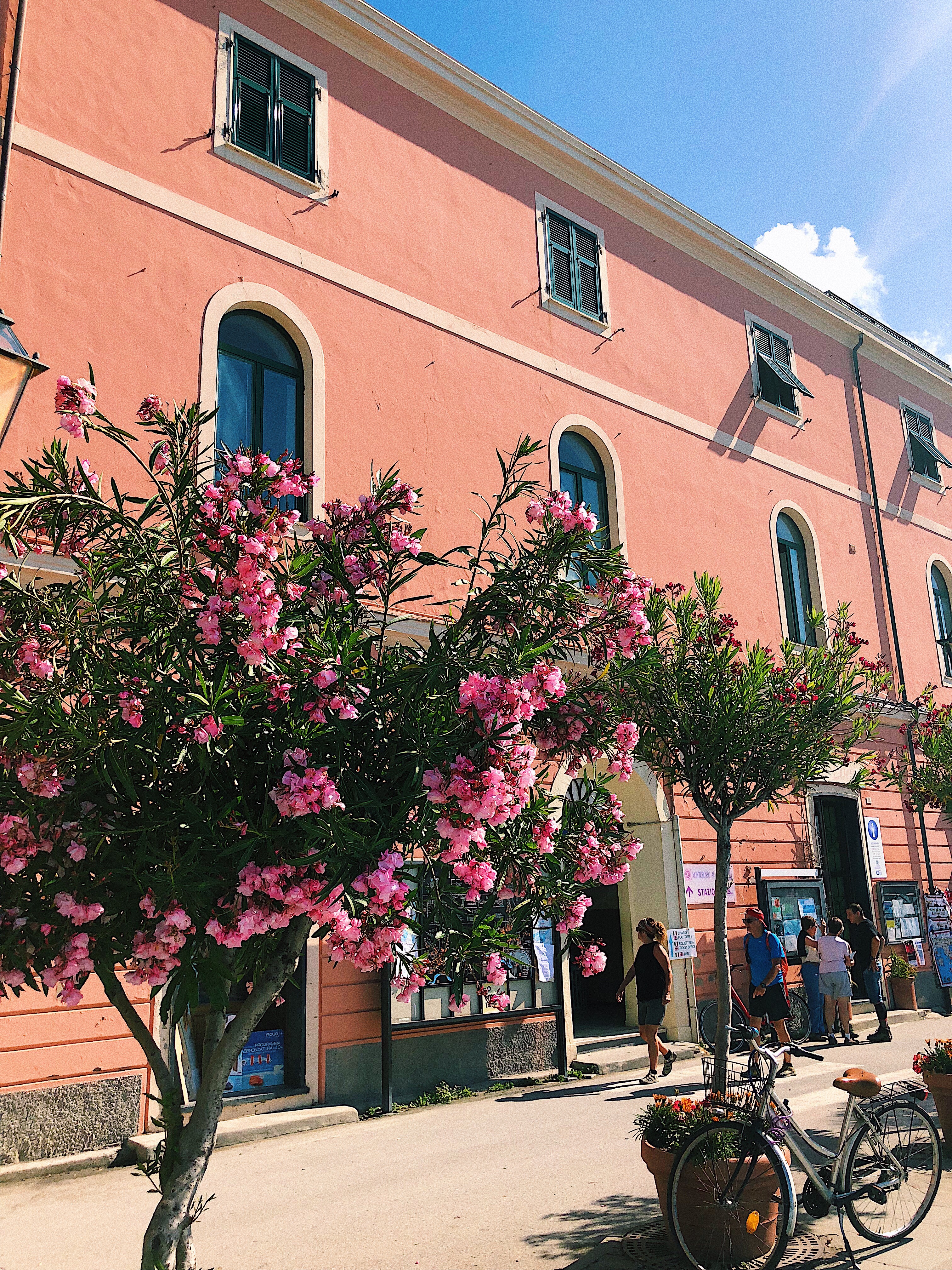 67789259-1a1d-4929-bb93-ab2fc6bc5767